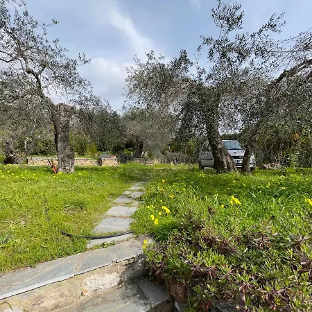 Il Giardino Degli Ulivi *